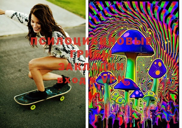марки lsd Белокуриха