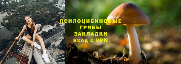 марки lsd Белокуриха