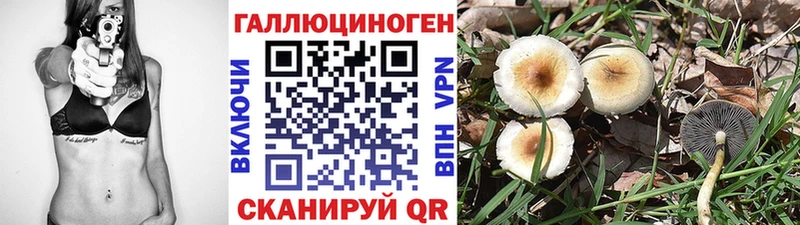 Галлюциногенные грибы Cubensis  сколько стоит  Буинск 